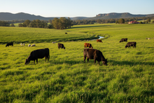 Load image into Gallery viewer, Healthy pasture with livestock