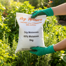 Load image into Gallery viewer, 5KG Dry Molasses Being Held
