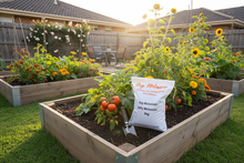 Load image into Gallery viewer, Dry Molasses Home Garden Image with Product Bag
