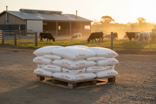 Load image into Gallery viewer, Pallet at Modern Farm
